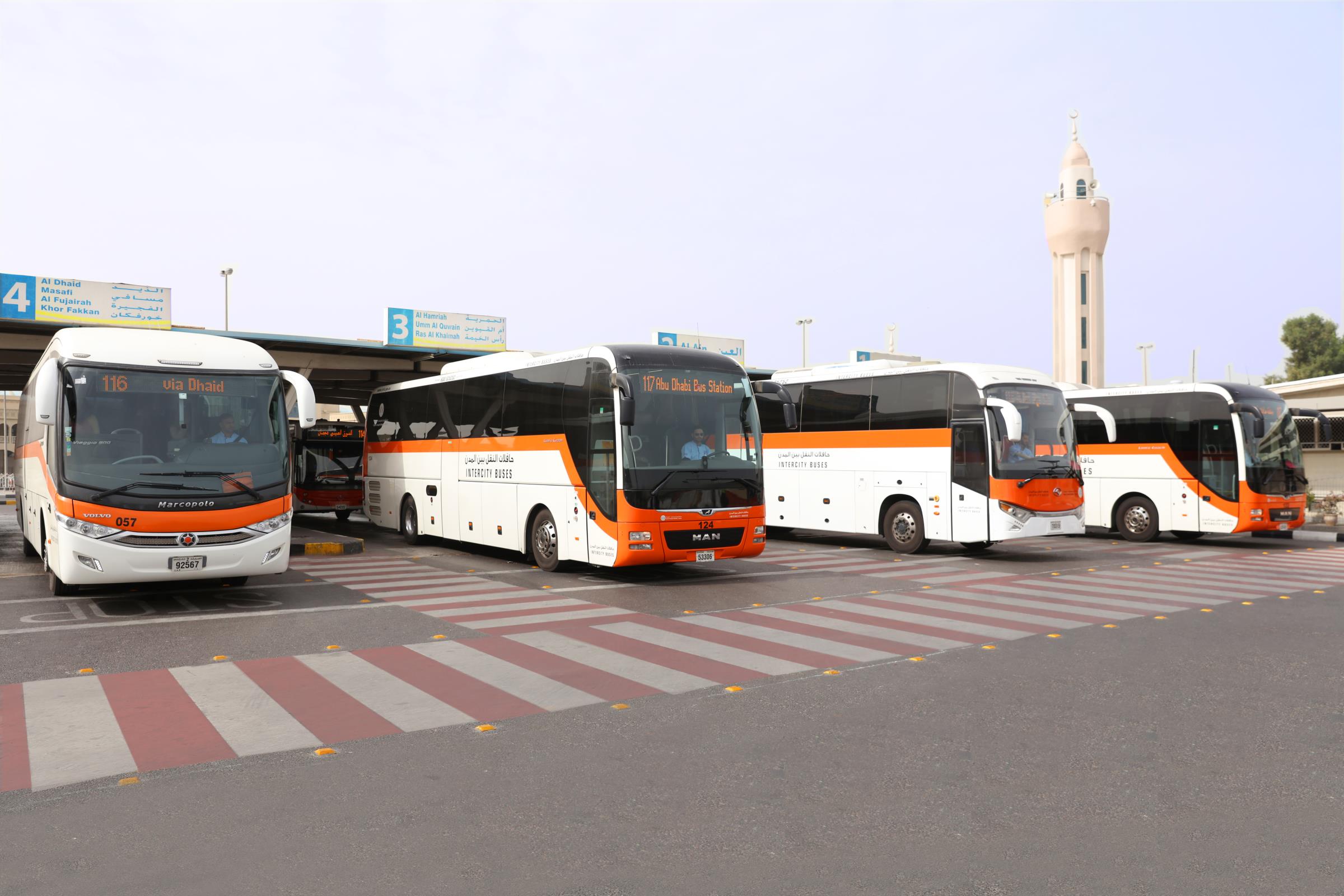 جانب من اسطول حافلات النقل بين المدن.jpg